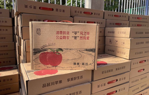 完美世界竞技平台官网“扶贫助农，振兴乡村”活动